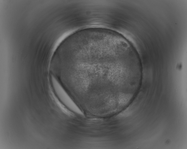 X0000092291333200709281258