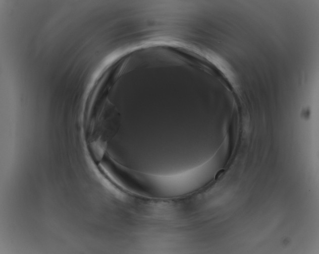 X0000092291334200709281258