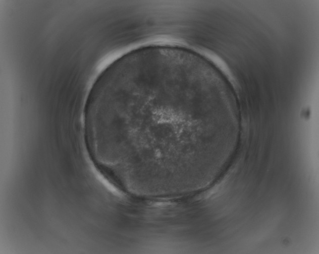 X0000092291335200709281258