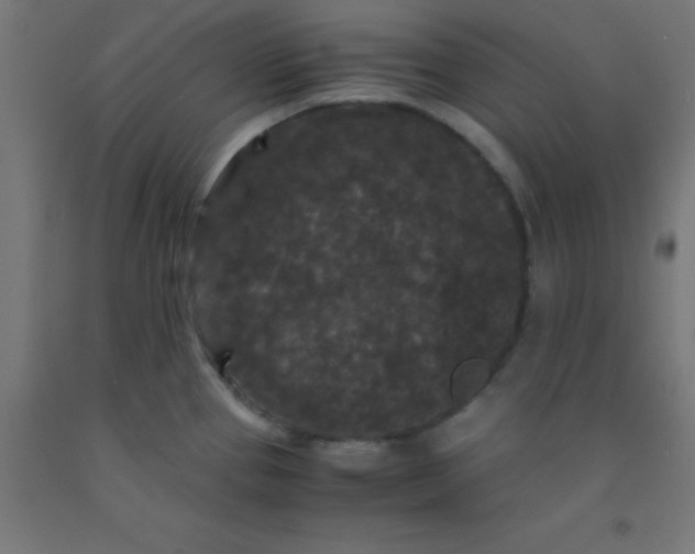 X0000092291337200709281258