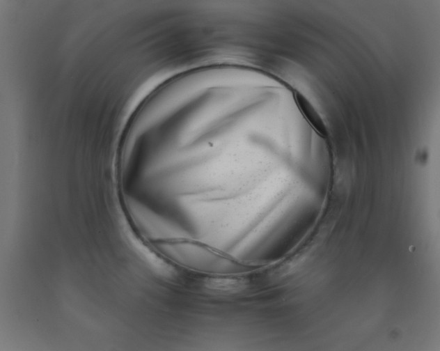 X0000092291339200709281258