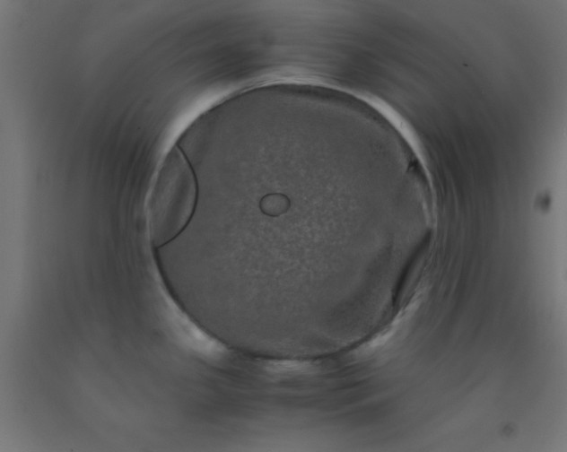 X0000092291341200709281258