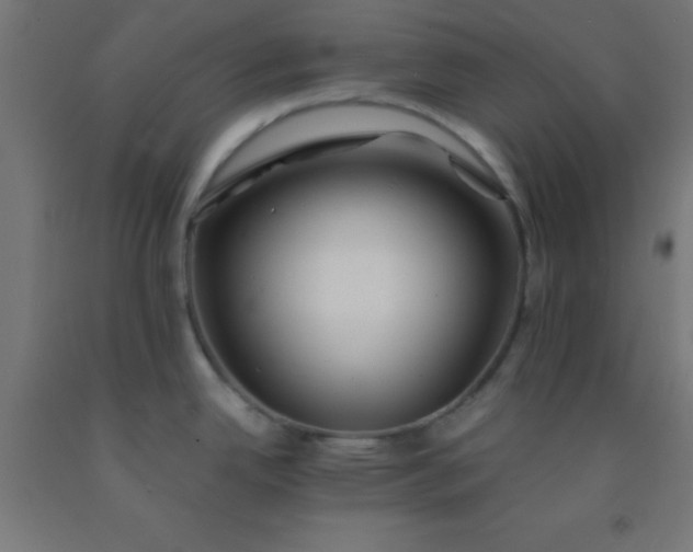 X0000092291342200709281258