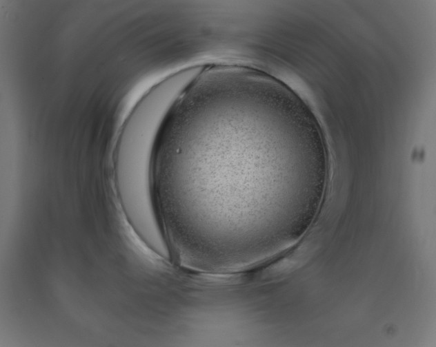 X0000092291344200709281258