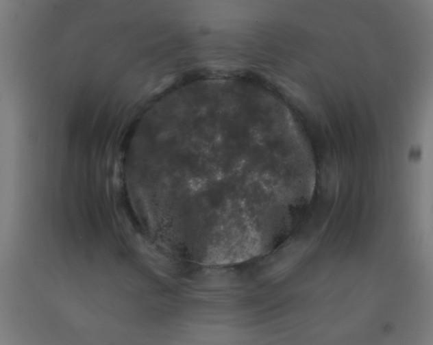 X0000092291346200709281258