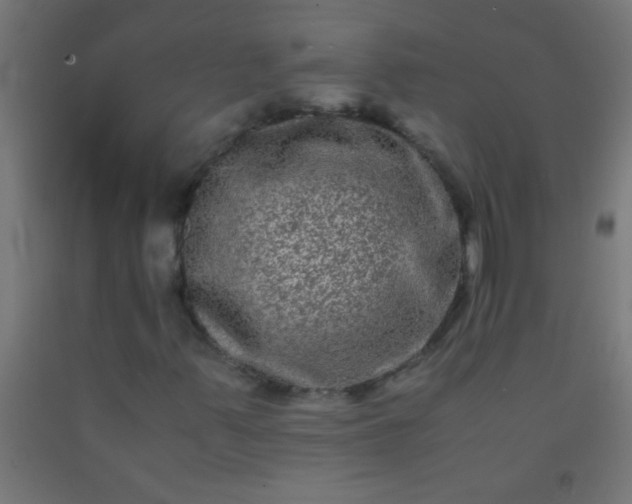 X0000092291347200709281258