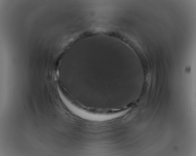 X0000092291348200709281258