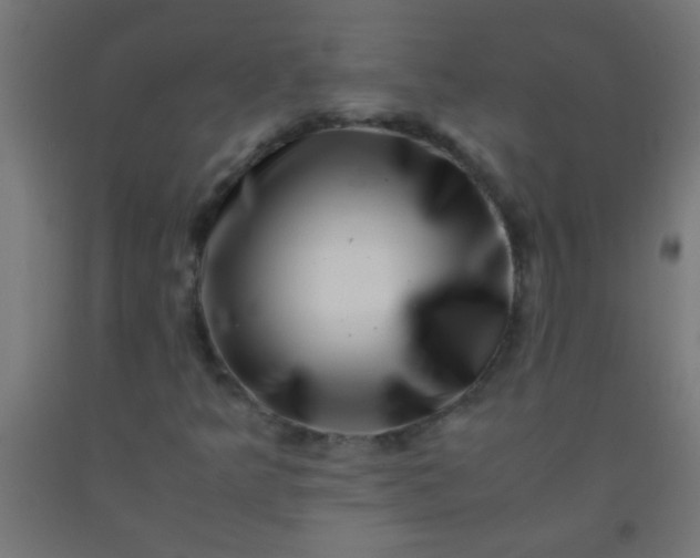 X0000092291349200709281258