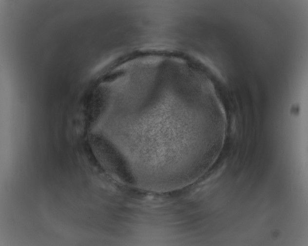 X0000092291350200709281258