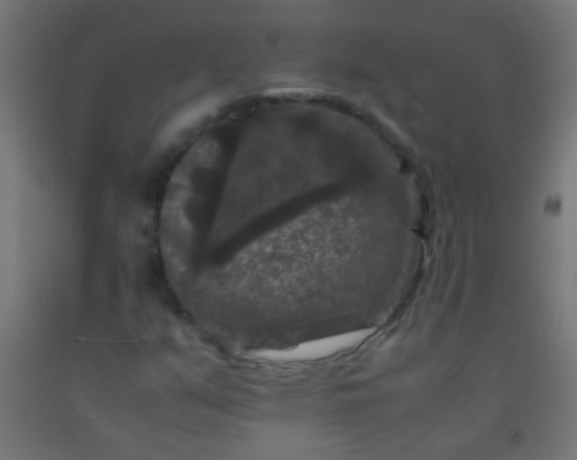 X0000092291351200709281258