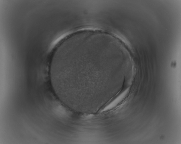 X0000092291352200709281258