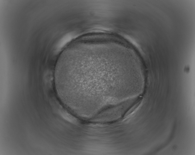 X0000092291355200709281257