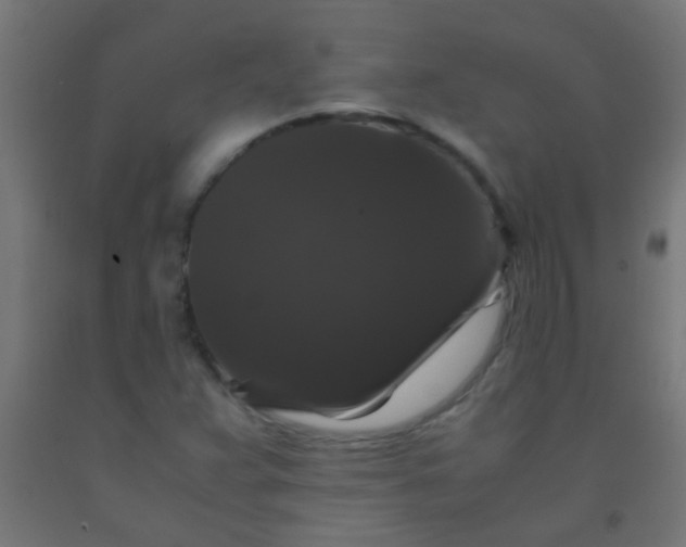 X0000092291359200709281257