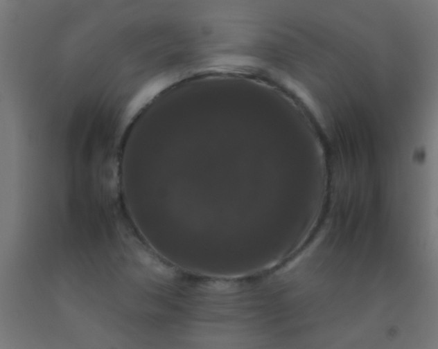 X0000092291362200709281257