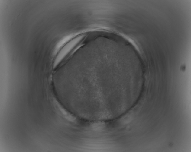 X0000092291363200709281257