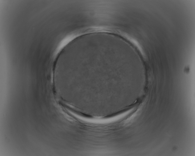 X0000092291365200709281257