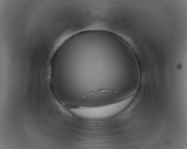 X0000092291366200709281257