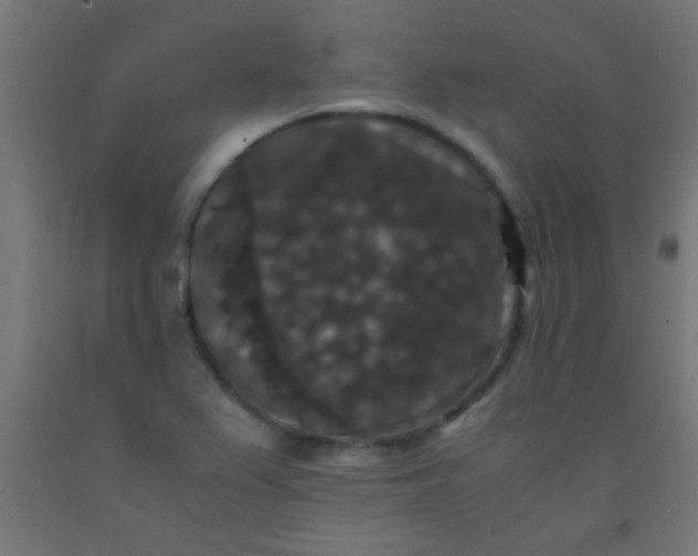 X0000092291367200709281257