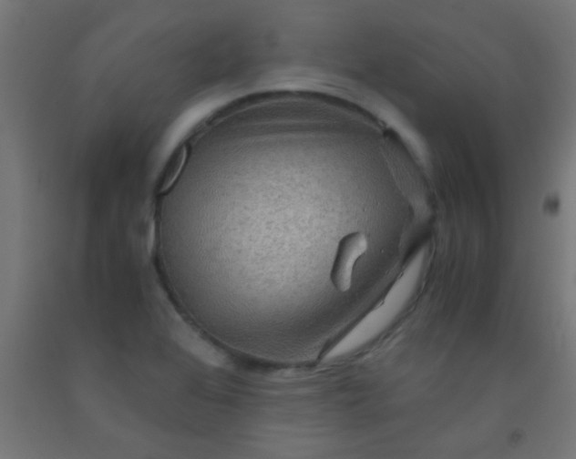 X0000092291368200709281257