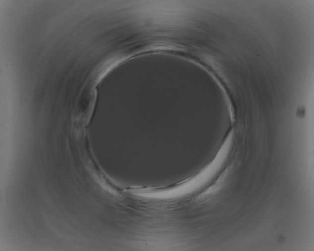 X0000092291369200709281257