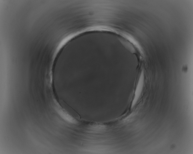 X0000092291372200709281257