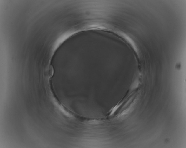 X0000092291373200709281257