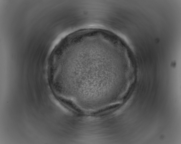 X0000092291374200709281257