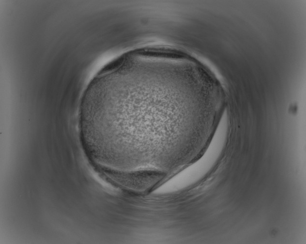 X0000092291375200709281257