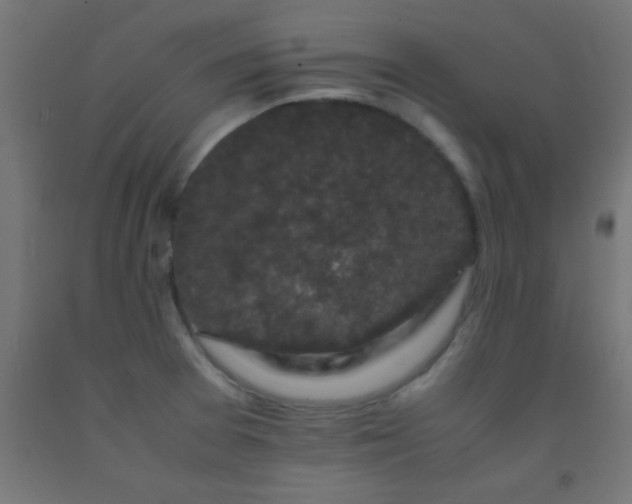 X0000092291377200709281257