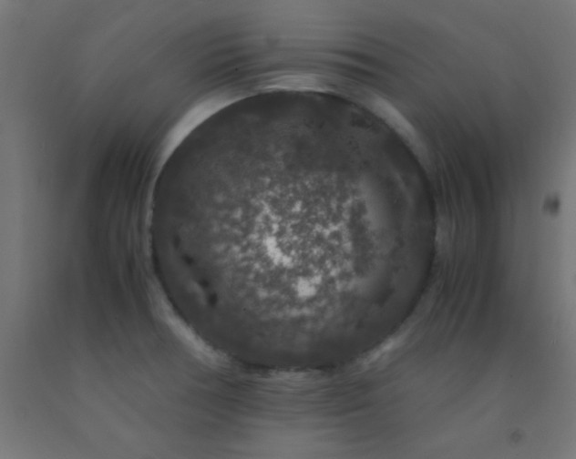 X0000092291378200709281257