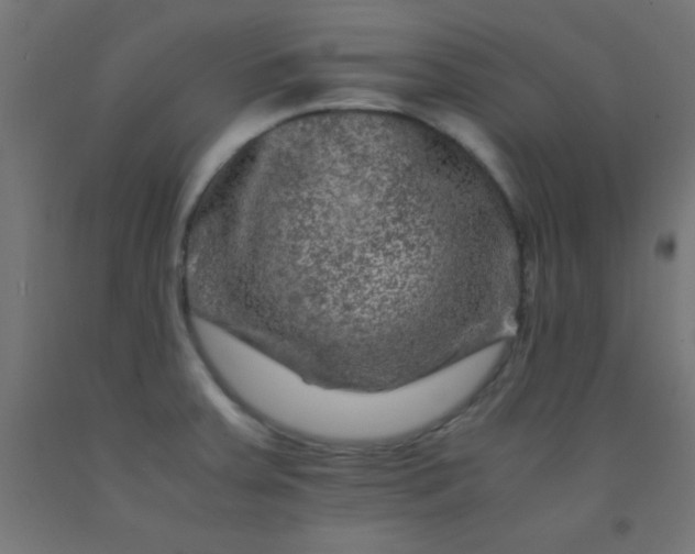 X0000092291379200709281257