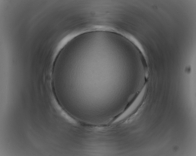 X0000092291381200709281257