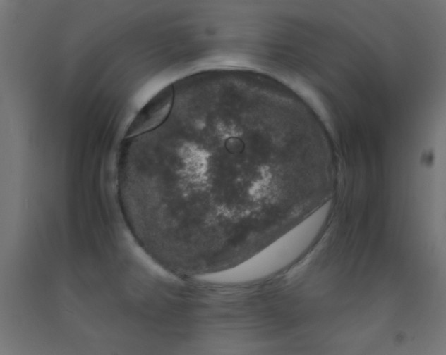 X0000092291382200709281257