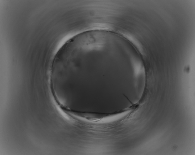 X0000092291383200709281257