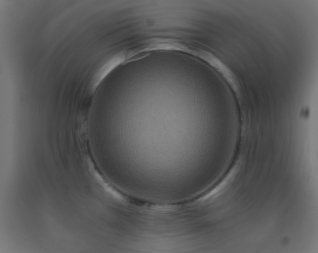 X0000092291385200709281257