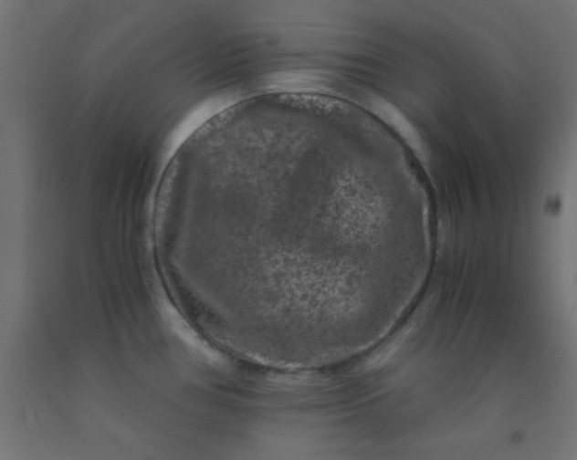 X0000092291386200709281257