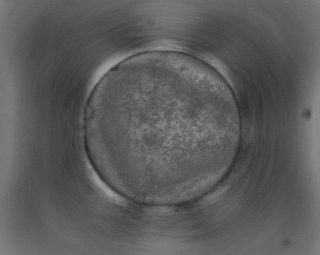 X0000092291387200709281257