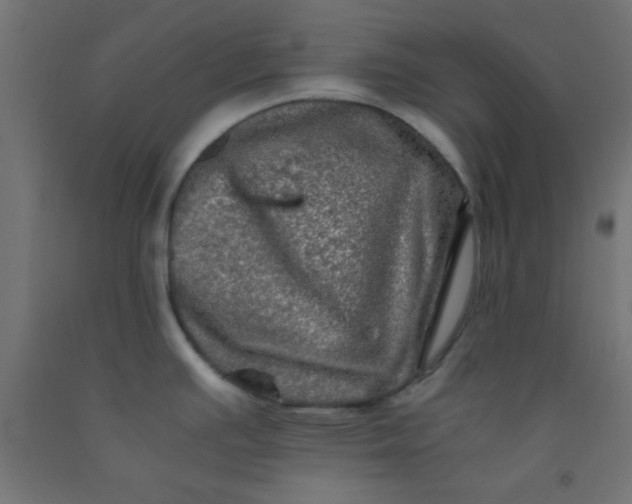 X0000092291391200709281257