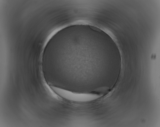 X0000092291392200709281257