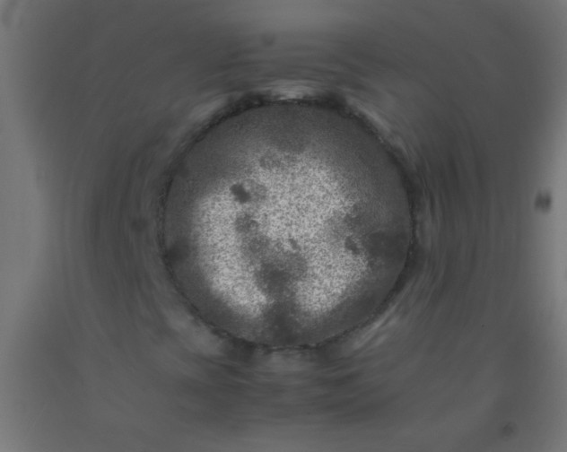 X0000092291393200709281256