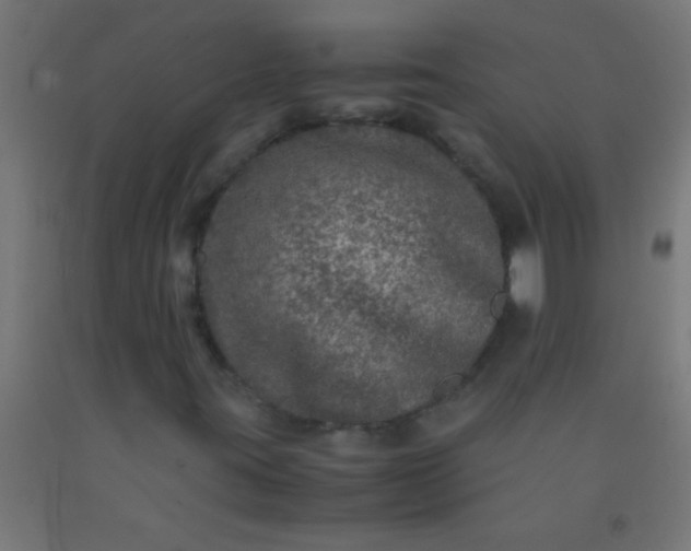 X0000092291395200709281256