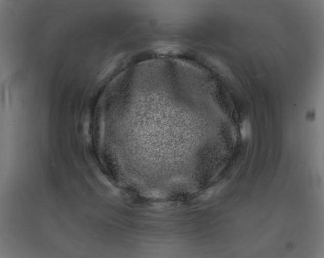 X0000092291396200709281256