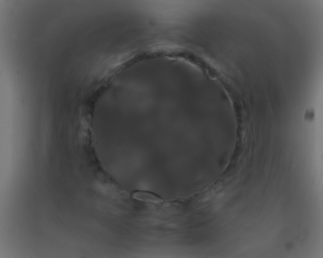 X0000092291397200709281256