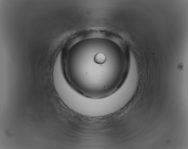 X0000092291398200709281256