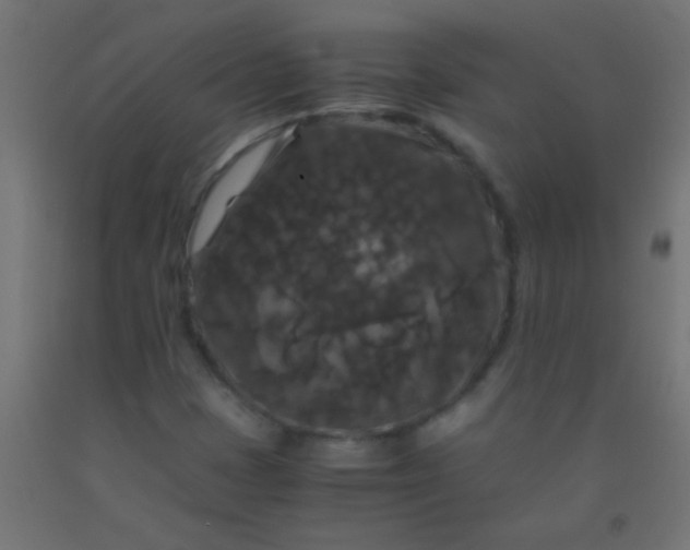 X0000092291401200709281257