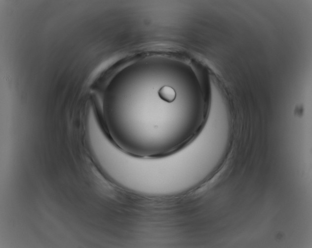 X0000092291402200709281257