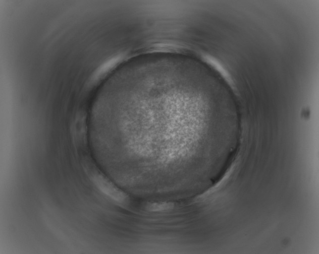 X0000092291403200709281257