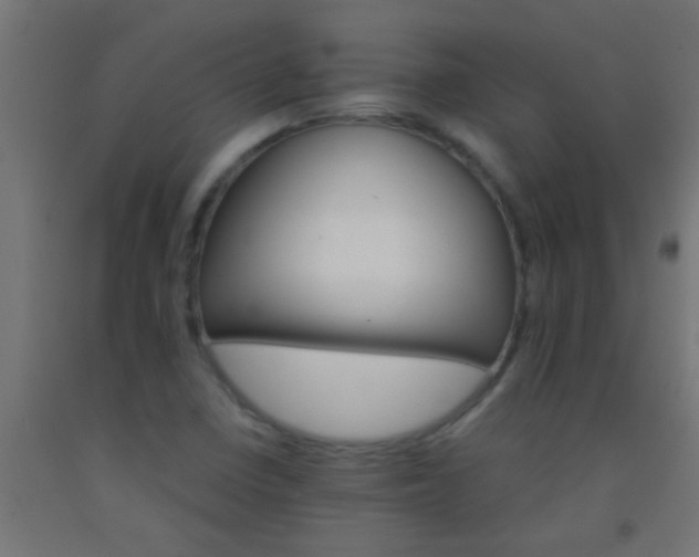 X0000092291410200709281257