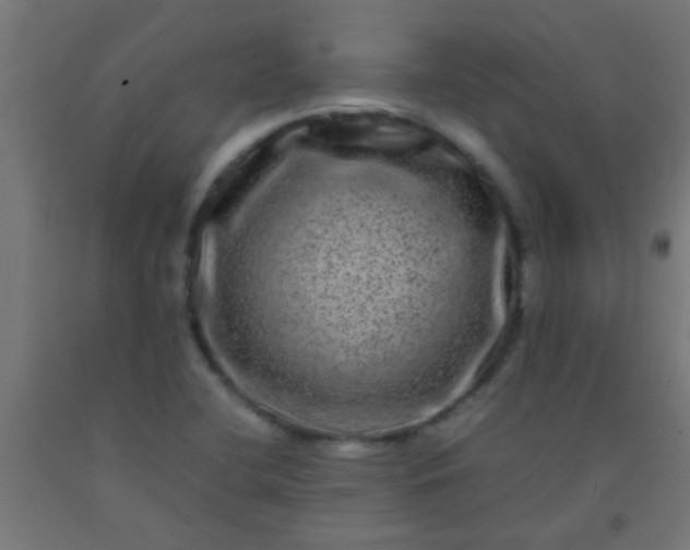 X0000092291412200709281257