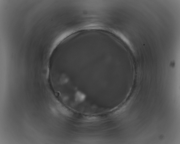 X0000092291413200709281257